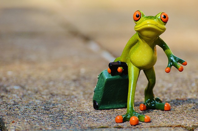 Smart Ways to Avoid Overpaying on Mortgage Interest